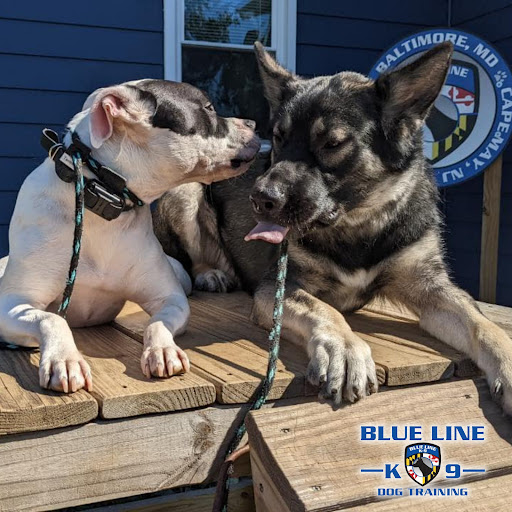 Blue Line K-9 - Image 1