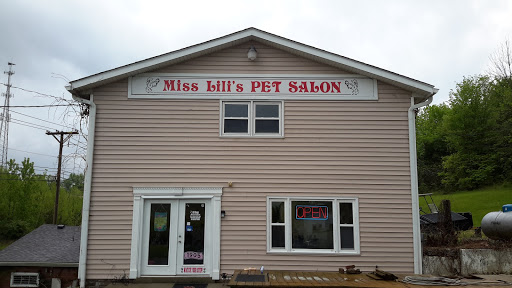 Miss Lili's Pet Salon - Image 1