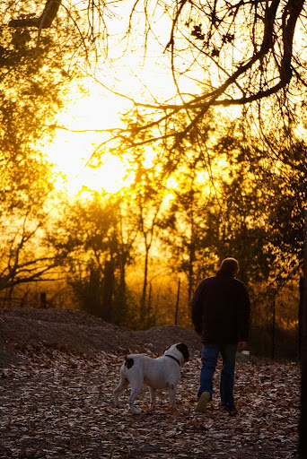 Hatchet Creek Ranch - Image 1