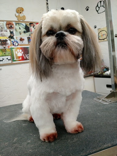 All-Breed Groom Shop - Image 1