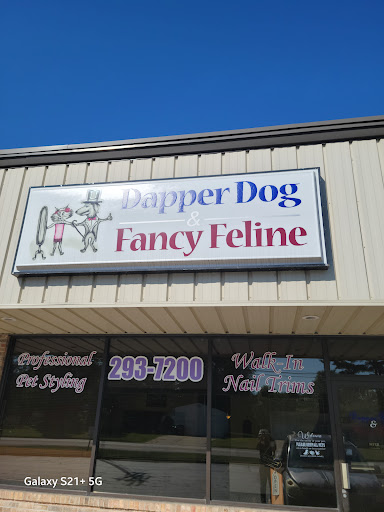 Dapper Dog & Fancy Feline Inc - Image 1