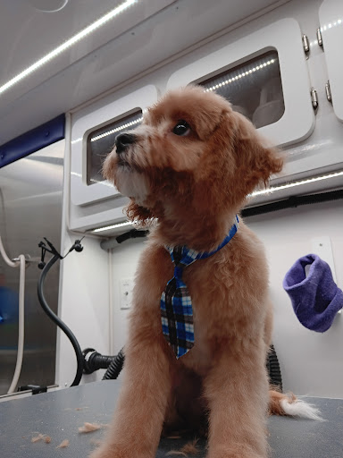 Pup In The Tub Mobile Dog Grooming - Image 1