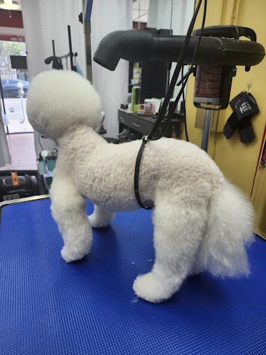 Bark Woof Dog Grooming 애견 미용 LA - Image 1