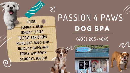 Passion 4 Paws Dog Spa - Image 1