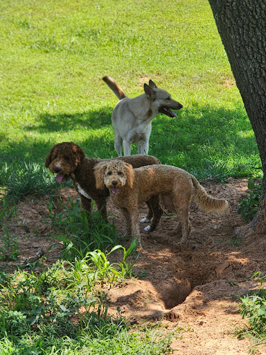 Pre'fur Pet Boarding - Image 1