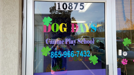 Dog Days Canine Playschool - Image 1