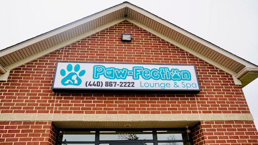 Paw-Fection Lounge and Spa - Image 1