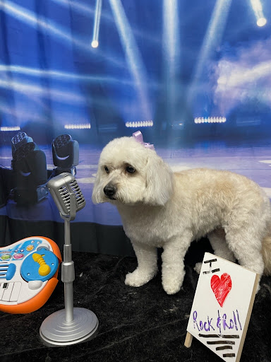 The Polished Pup (formerly Sherwood's Town and Country Pet Grooming) - Image 1