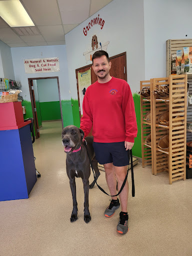 DogWatch Doggie Day Care - Image 1