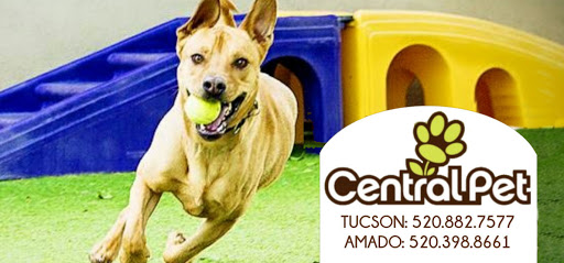 Central Pet Tucson - Image 1