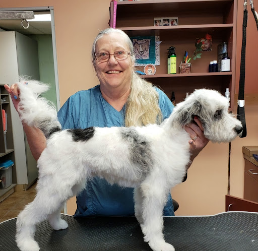 South Paw's Grooming of Edmond Oklahoma - Image 1