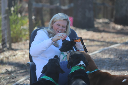 The Uptown Hound Dog Day Play, Resort & Ranch - Image 1