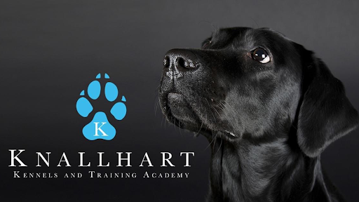 Knallhart Kennels & Training Academy - Image 1