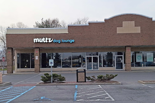 Muttz Dog Lounge - Image 1