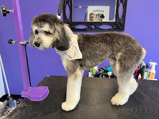 Bark N Bubbles Doggy Day Spa-Hyde Park - Image 1