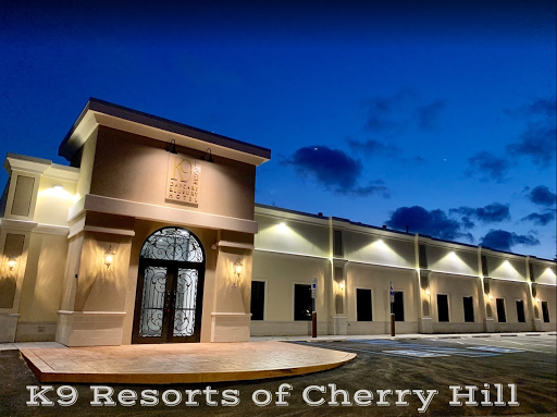 K9 Resorts Luxury Pet Hotel Cherry Hill - Image 1