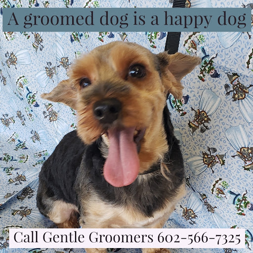 Gentle Groomer - Image 1