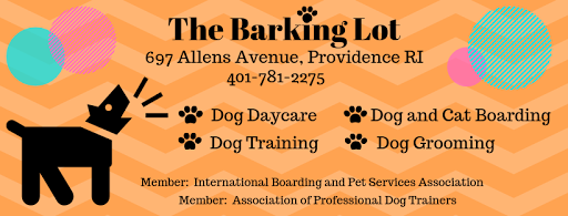 The Barking Lot - Image 1