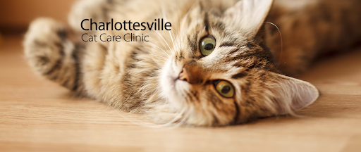 Charlottesville Cat Care Clinic - Image 1