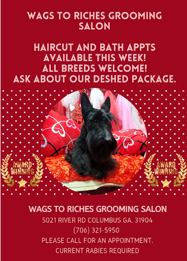 Wags to Riches - Image 1