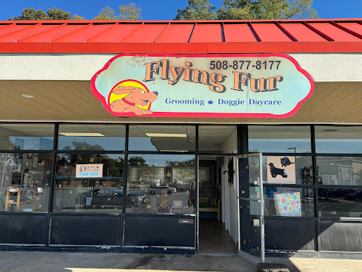 Flying Fur - Image 1