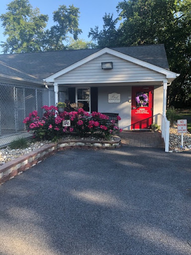 Best Boarding Kennel - Image 1