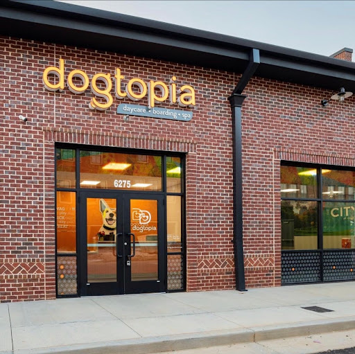 Dogtopia of Alpharetta at Halcyon - Image 1