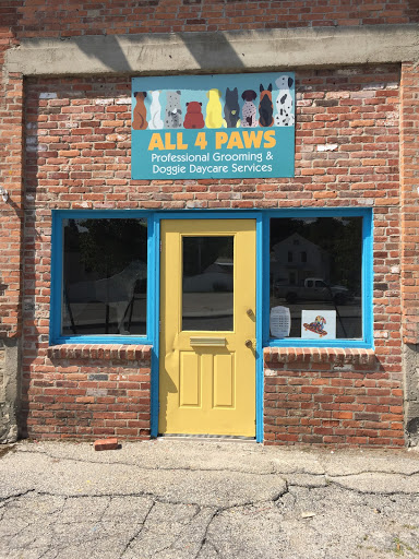 All 4 Paws - Image 1