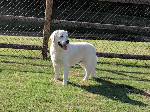 Dog Dynasty Grooming Salon - Image 1