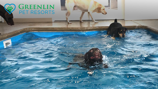 Greenlin Pet Resorts - Image 1