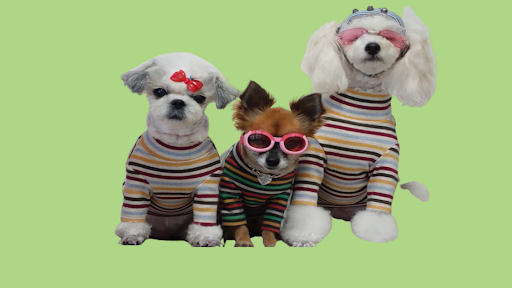 Happy Dog Grooming - Image 1