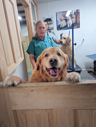 Nautical Dog Grooming Salon - Image 1