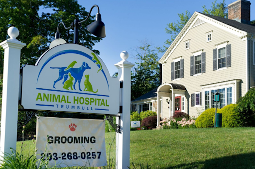 Trumbull Animal Hospital Grooming - Image 1