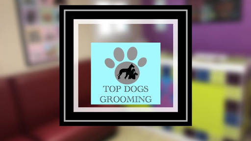 Top Dogs Grooming - Image 1