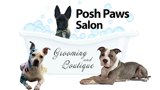 Posh Paws - Image 1