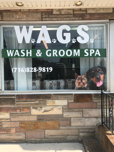 W.A.G.S. Wash & Groom Spa - Image 1