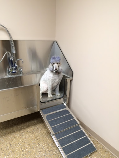 Boarding and Grooming at Westside Family Pet Clinic - Image 1