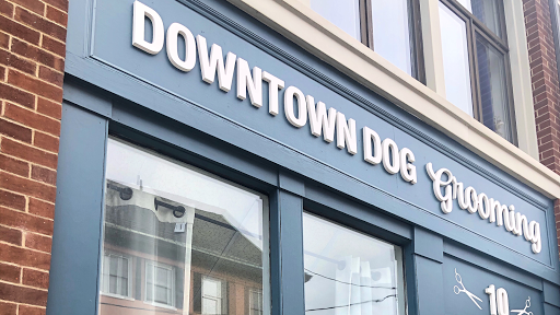 Downtown Dog Grooming - Image 1