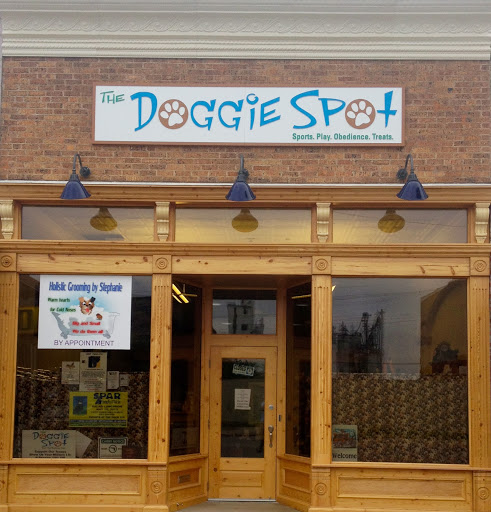 The Doggie Spot - Image 1