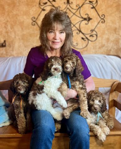 Bear's Fluffy Pups Grooming - Image 1