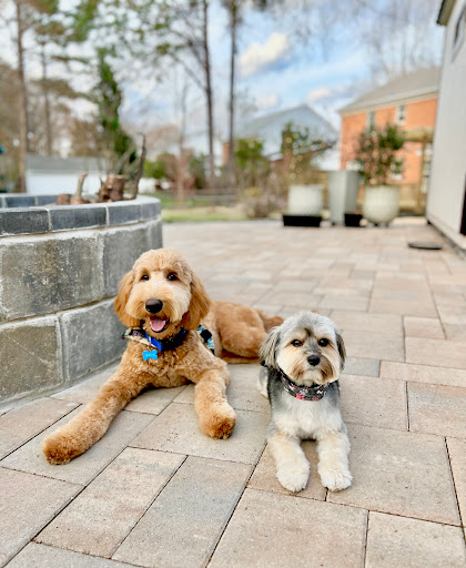 Pampered Paws at The Fountains - Image 1