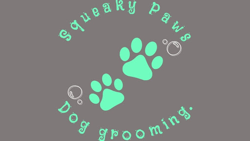 Squeaky Paws Dog Grooming - Image 1