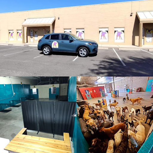 Dirty Dawgs Pet Care Doggy Daycare & Boarding - Image 1