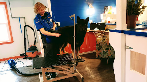 Dutch Dog Groomer - Image 1