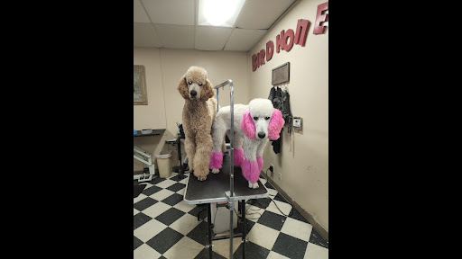 Ortega's Pet Mobile Grooming - Image 1