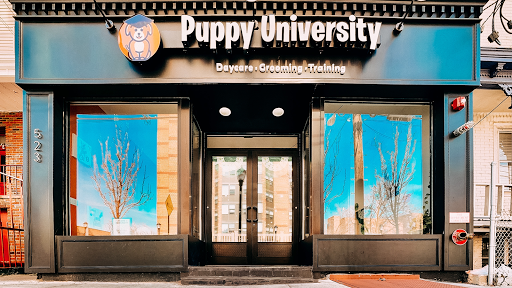 Puppy University - Image 1