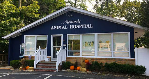 Montvale Animal Hospital - Image 1