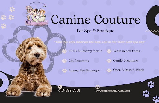 Canine Couture - Image 1