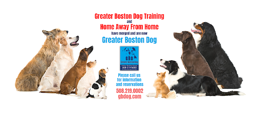 Greater Boston Dog Kennel - Image 1