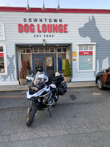 Downtown Dog Lounge - Image 1